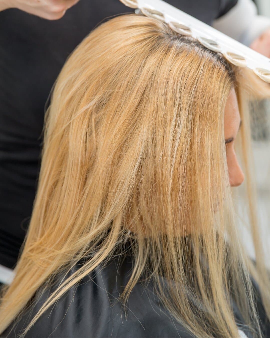 Blonde Correction